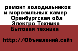 ремонт холодильников и морозильных камер - Оренбургская обл. Электро-Техника » Бытовая техника   